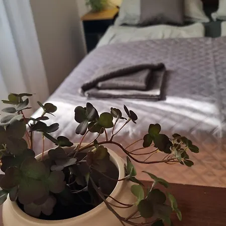 Apartamento Adam *