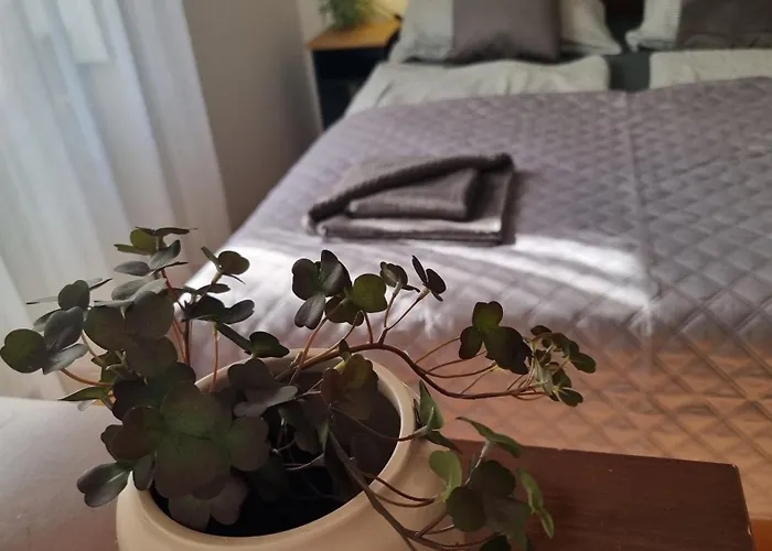 Apartament Adam *